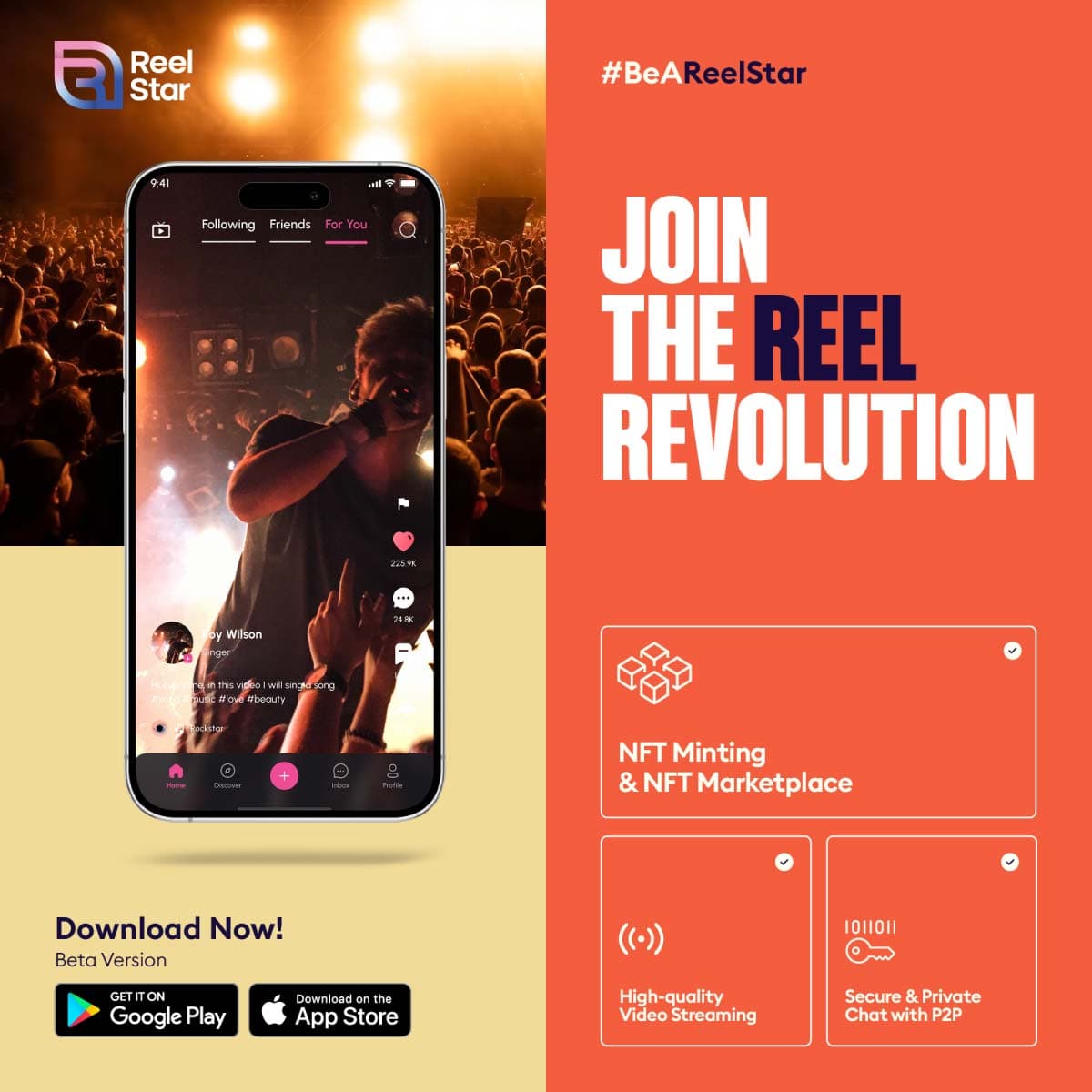 portfolio-large-image